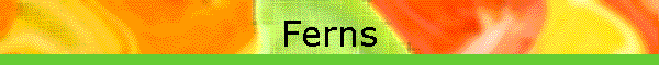 Ferns